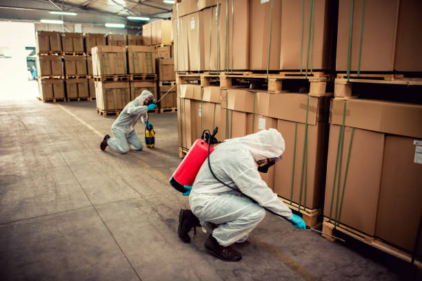 Best Pest Inspection Near Me  in Sackets Harbor, NY
