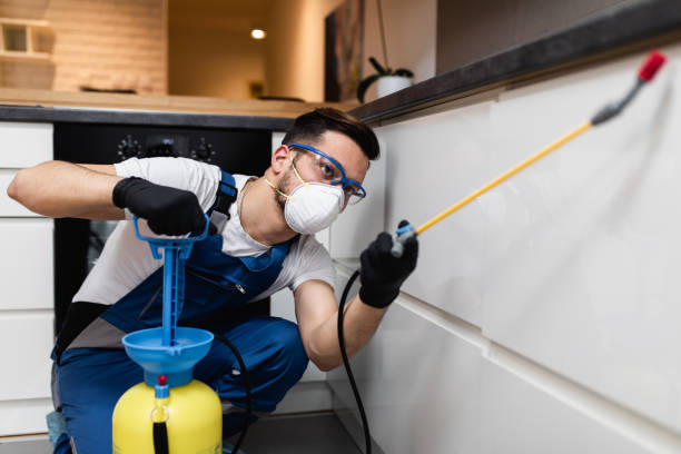 Best Residential Pest Control  in Sackets Harbor, NY