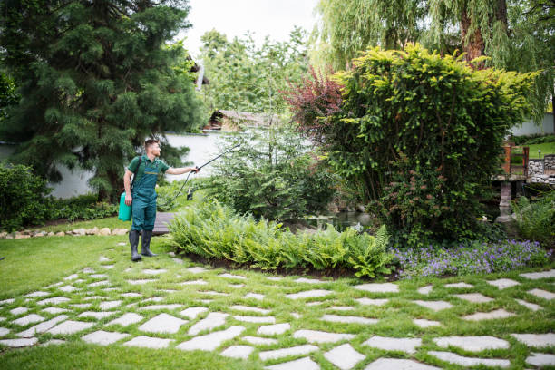Best Residential Pest Control  in Sackets Harbor, NY