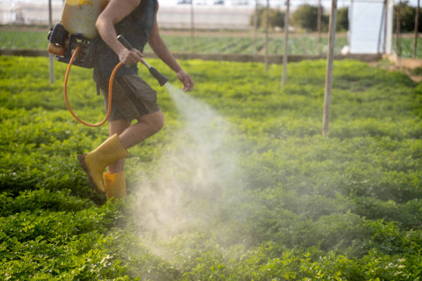 Reliable Sackets Harbor, NY Pest Control Solutions