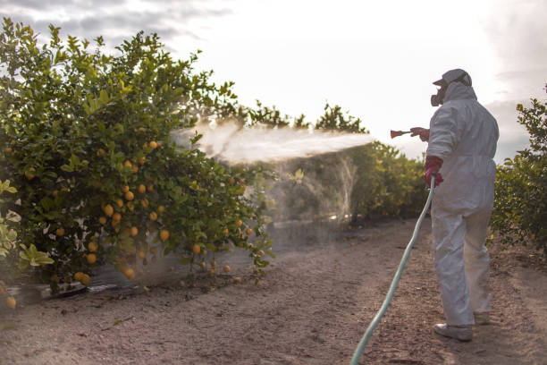 Best Pest Removal Services  in Sackets Harbor, NY