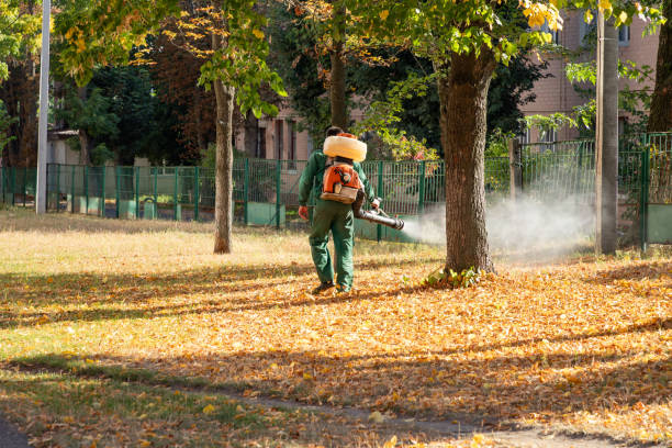 Best Best Pest Control Companies  in Sackets Harbor, NY