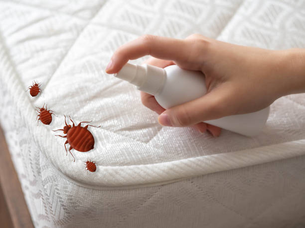 Best Exterminator Services  in Sackets Harbor, NY
